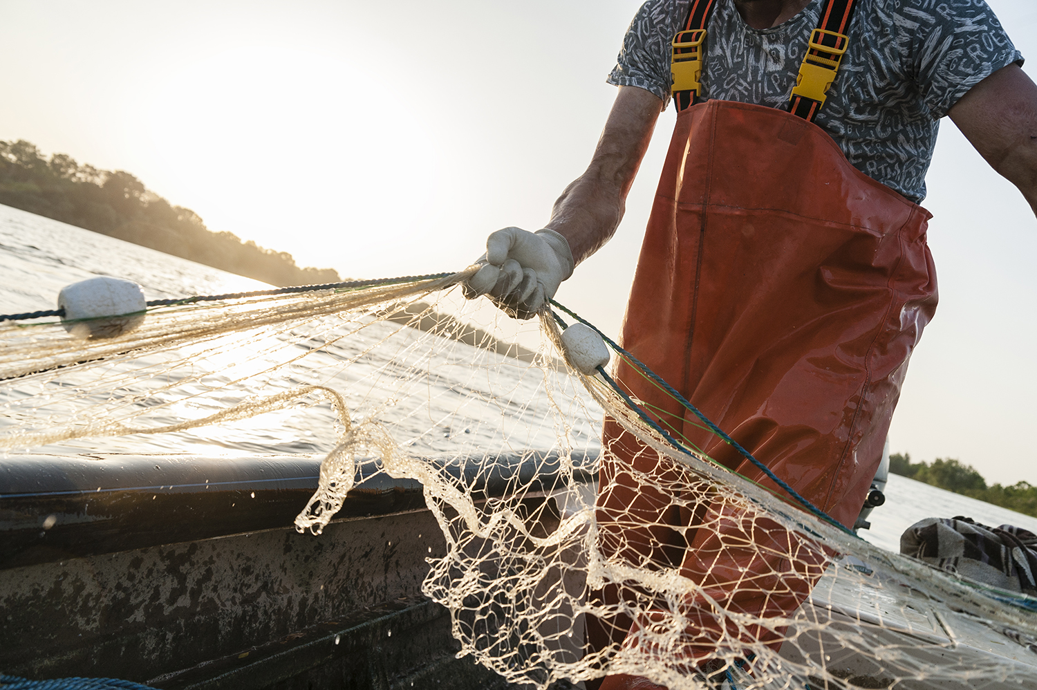 Découvrez comment repérer le phishing et déjouer les pièges !