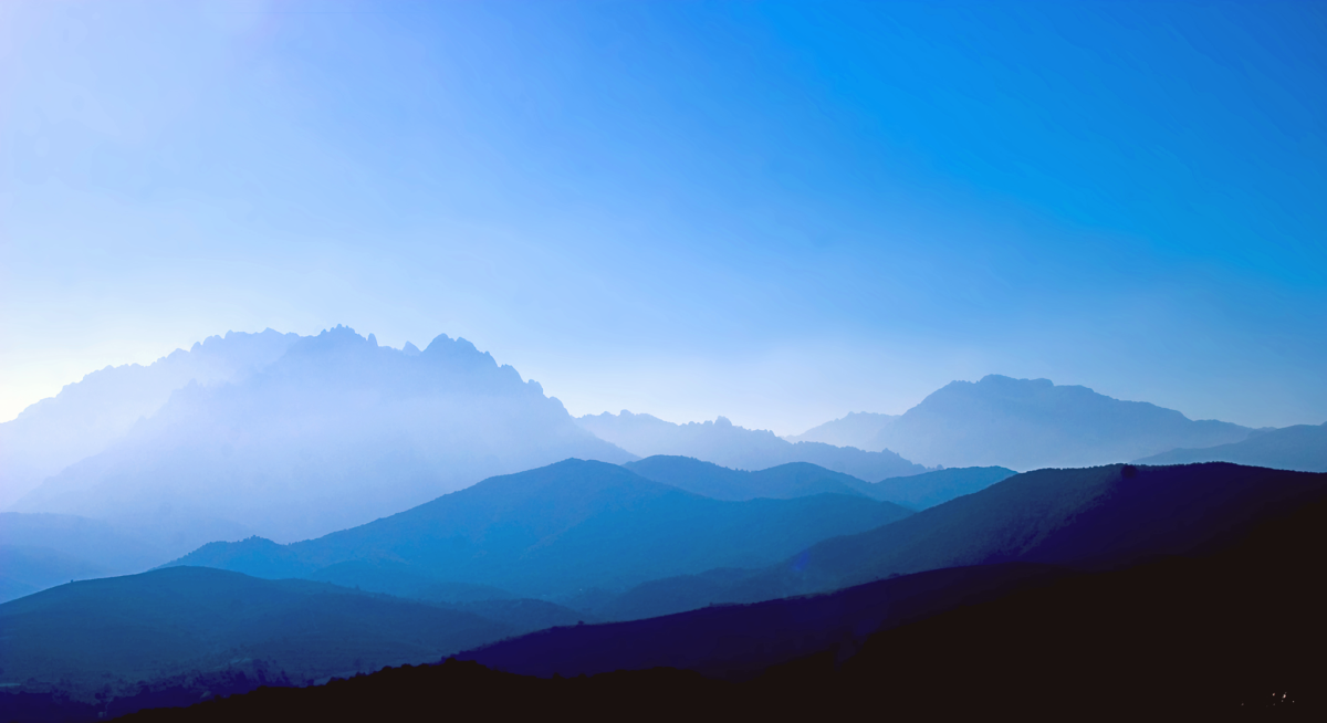 Focus sur Bluesky, le nouveau Twitter qui affole la toile